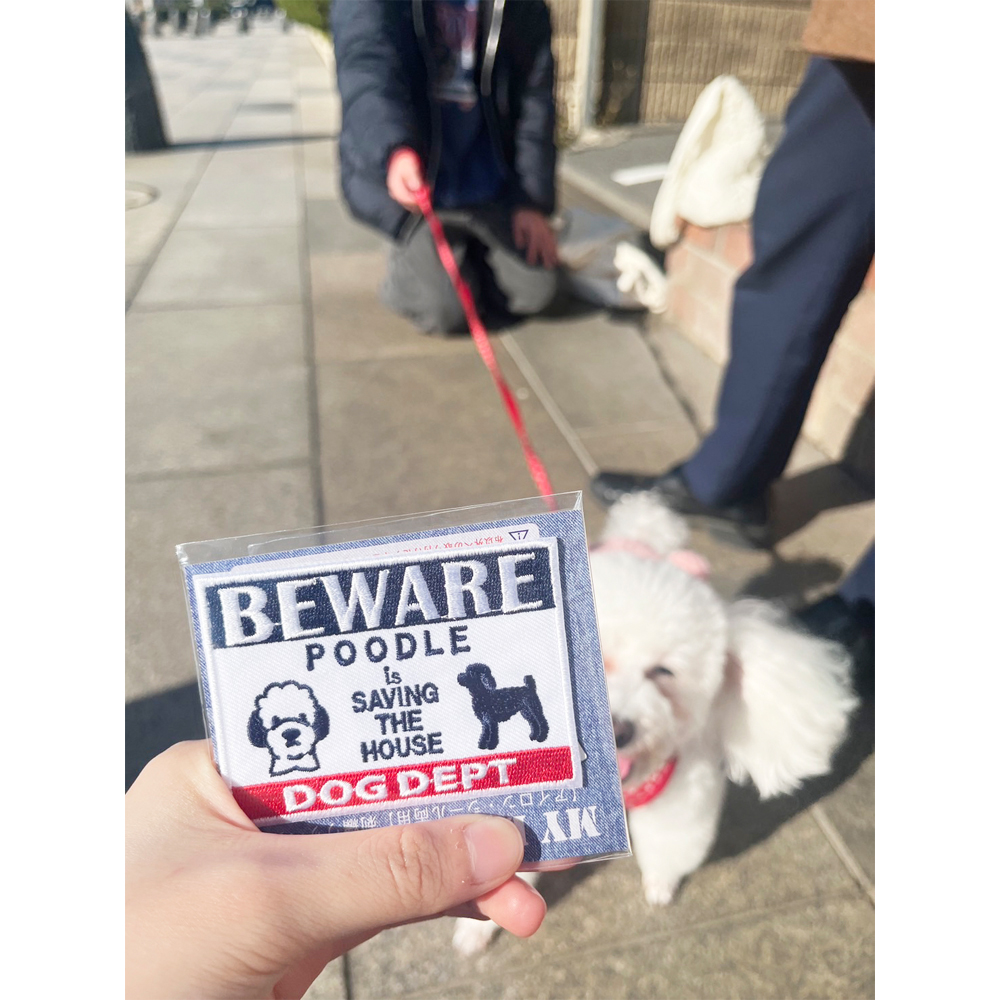 卒業犬ビオレちゃん、初めてづくし！